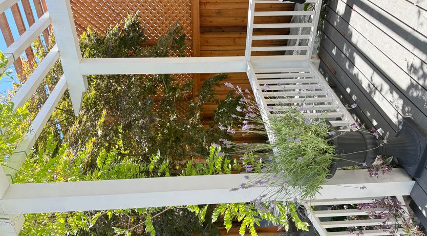 Photo of Golden Blossom