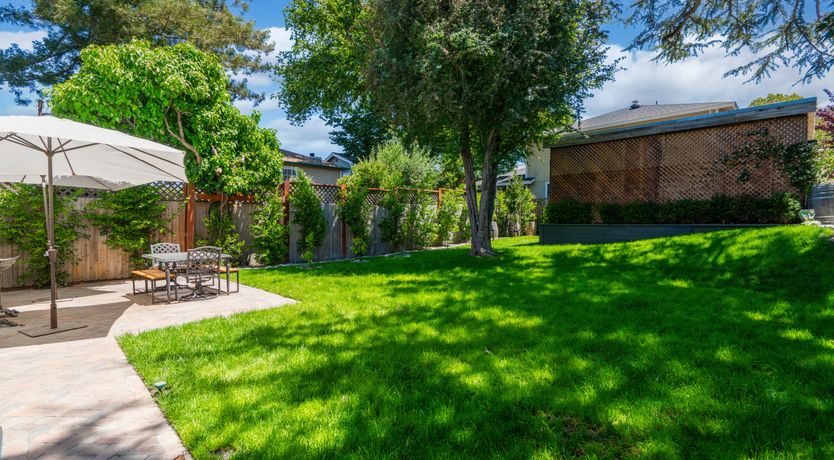 Photo of Golden Blossom