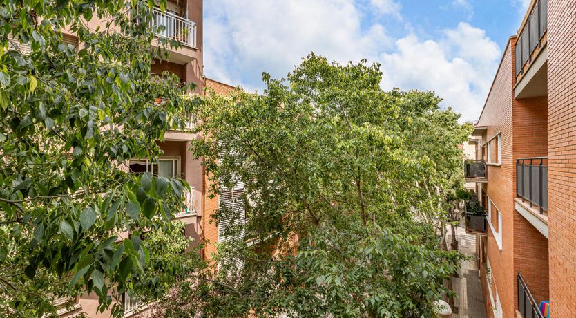 Photo of Spanish Rhythms