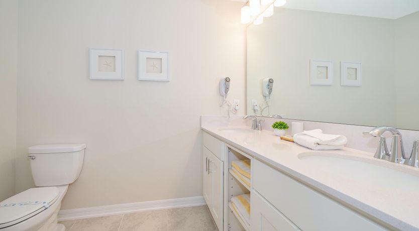 Photo of Palms Over Water