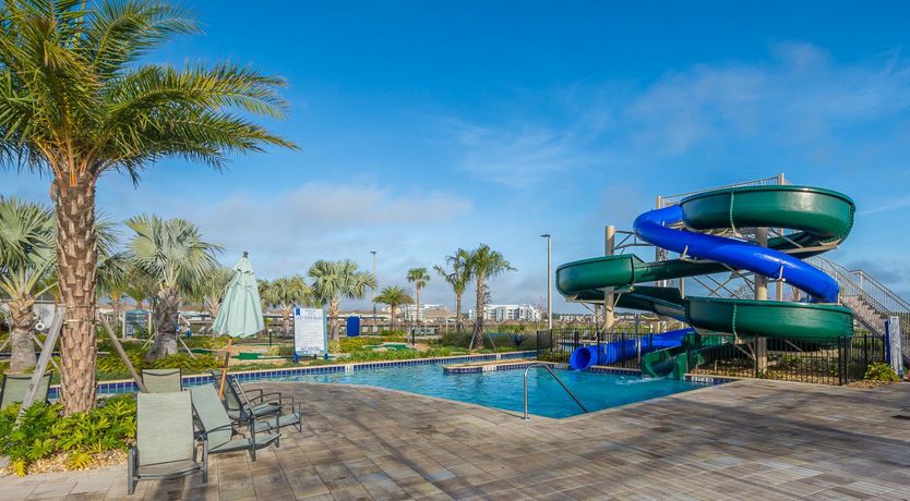 Photo of Palms Over Water