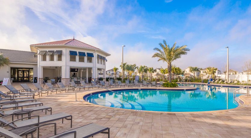 Photo of Palms Over Water