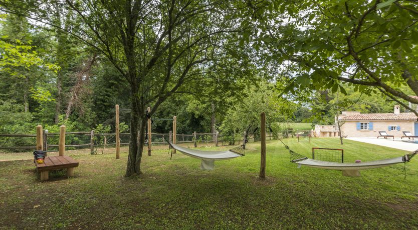 Photo of Where the Wildflowers Are