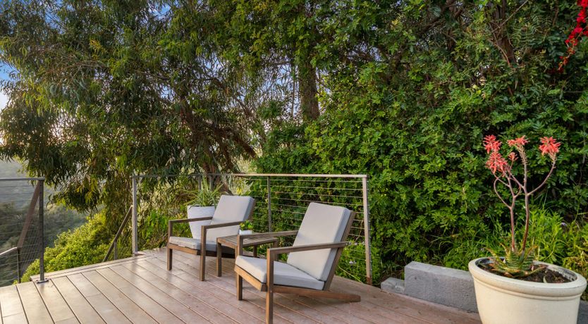 Photo of Art of Nature