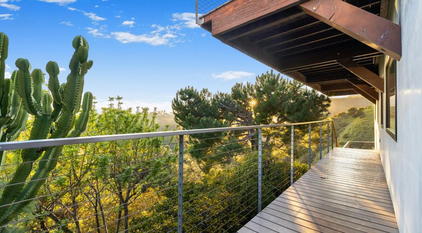 Photo of Art of Nature