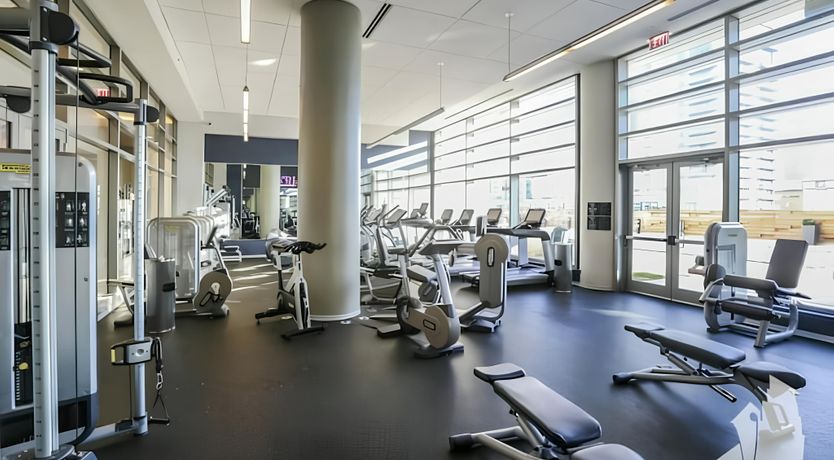 Photo of The Skyline's Vision