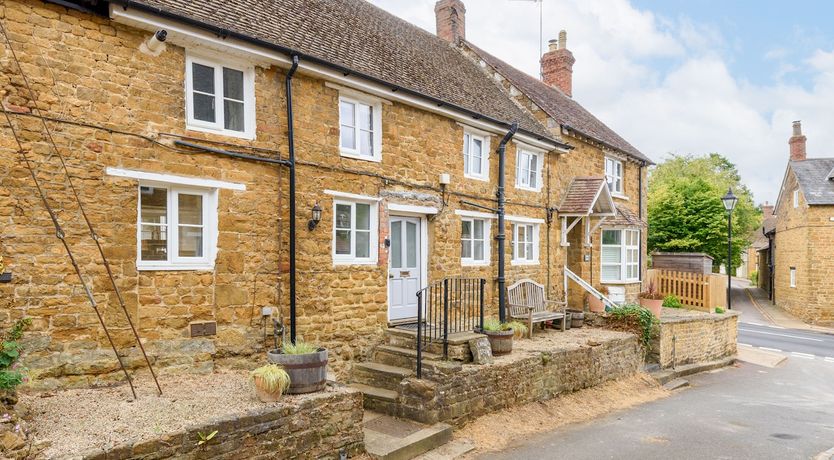 Photo of A True Rose