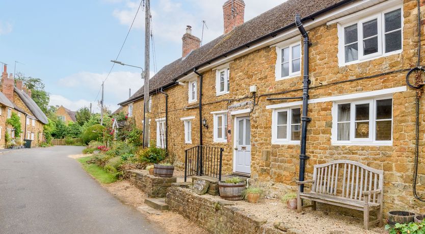 Photo of A True Rose