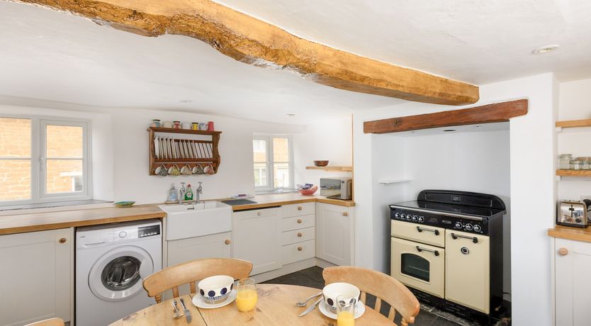 Photo of A True Rose