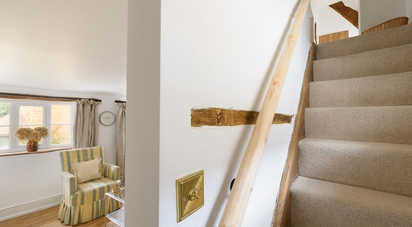 Photo of A True Rose