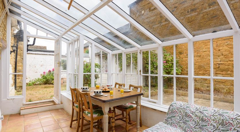 Photo of A True Rose