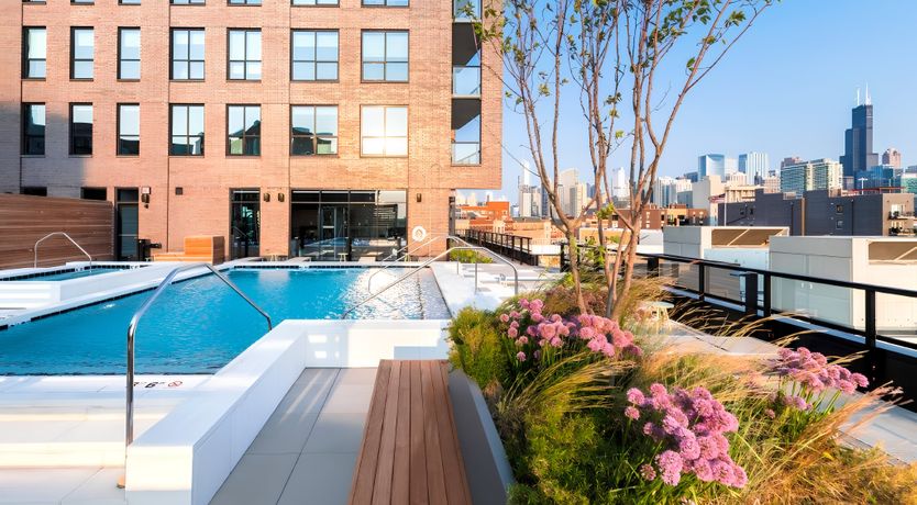 Photo of Skyline Reverie