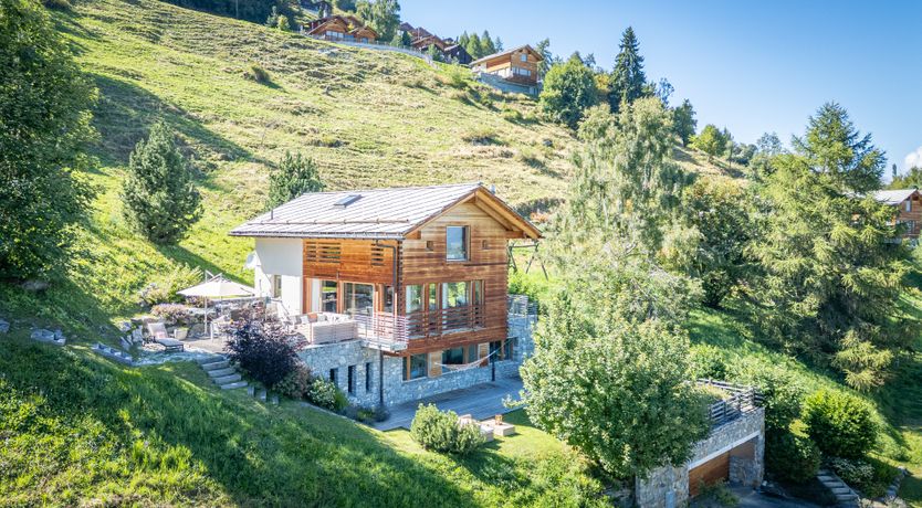 Photo of Mountain Tiger