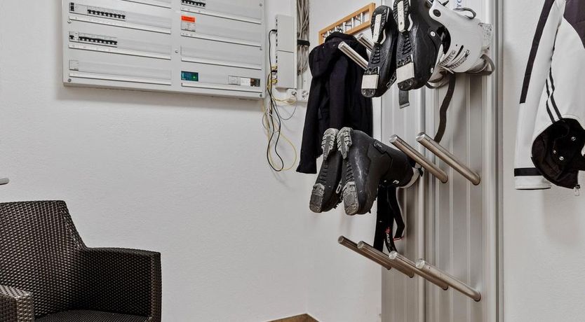 Photo of Mountain Tiger