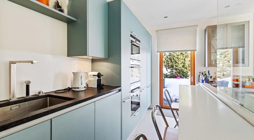 Photo of Mountain Tiger