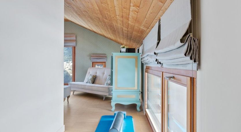 Photo of Mountain Tiger