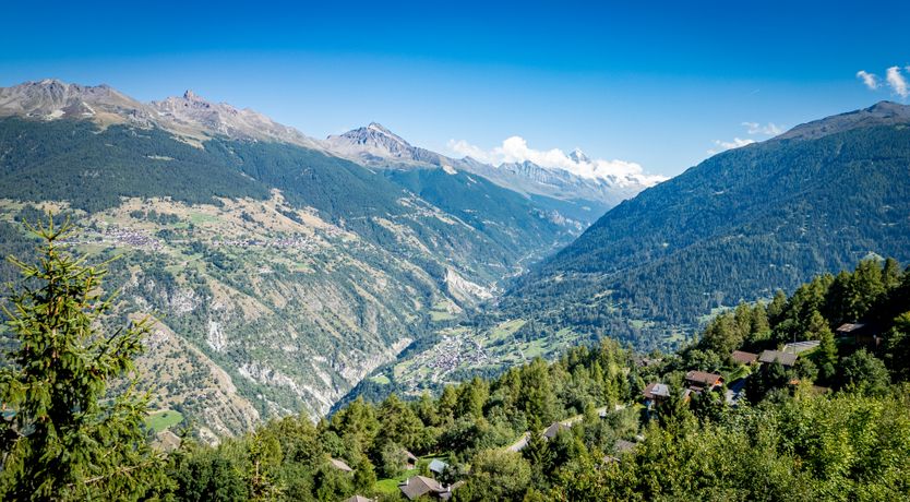 Photo of Mountain Tiger