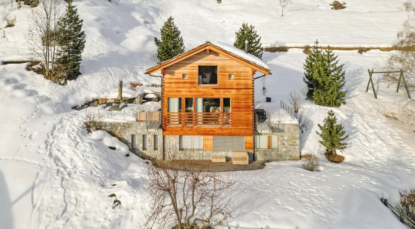 Photo of Mountain Tiger