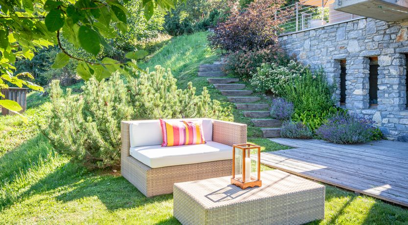 Photo of Mountain Tiger