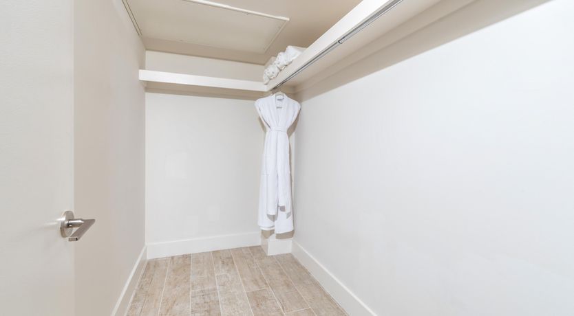 Photo of Oceanic Dream