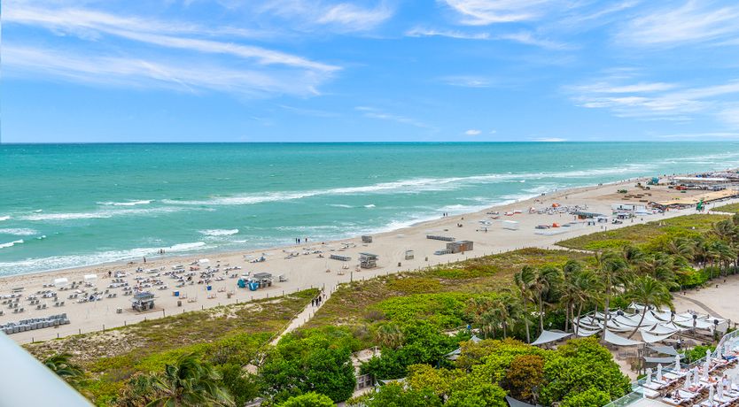 Photo of Miami Oasis