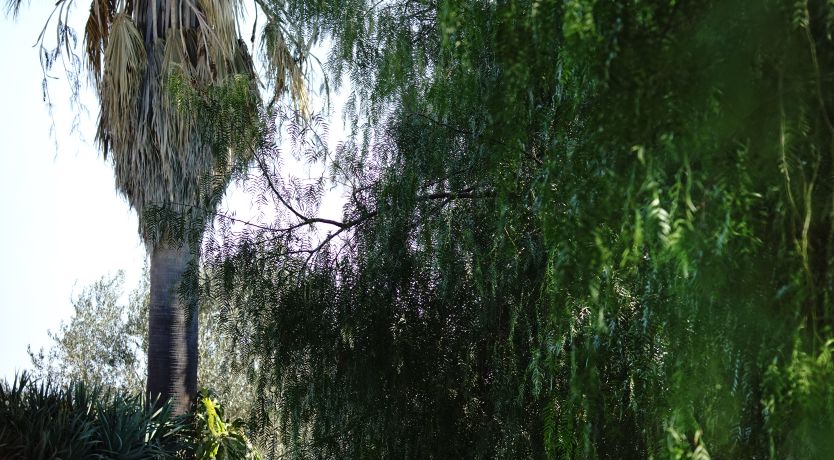 Photo of The Jewel of Sicily