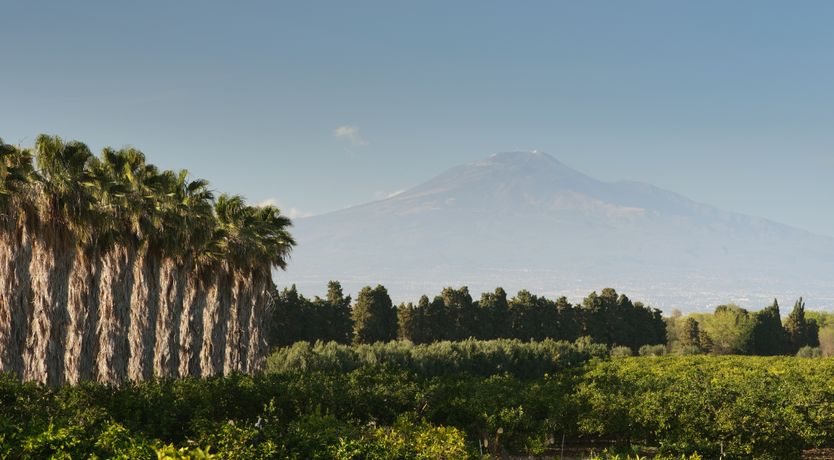 Photo of The Jewel of Sicily