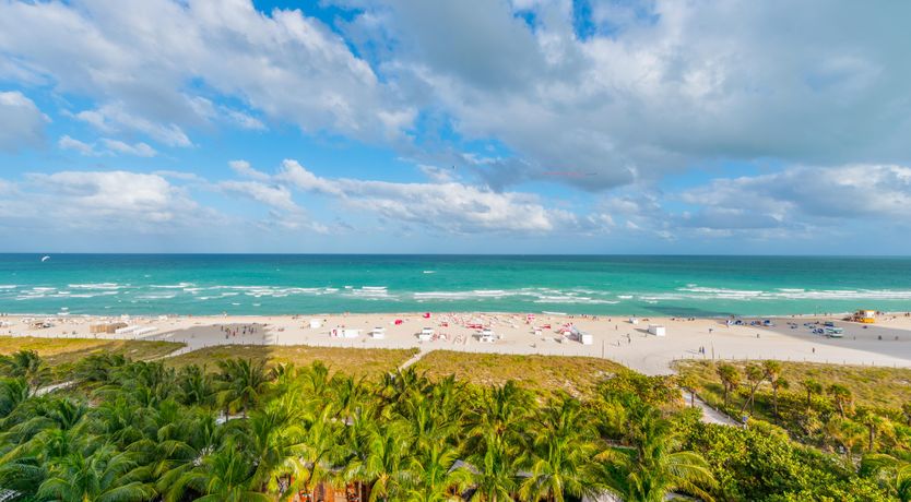 Photo of Miami State of Mind