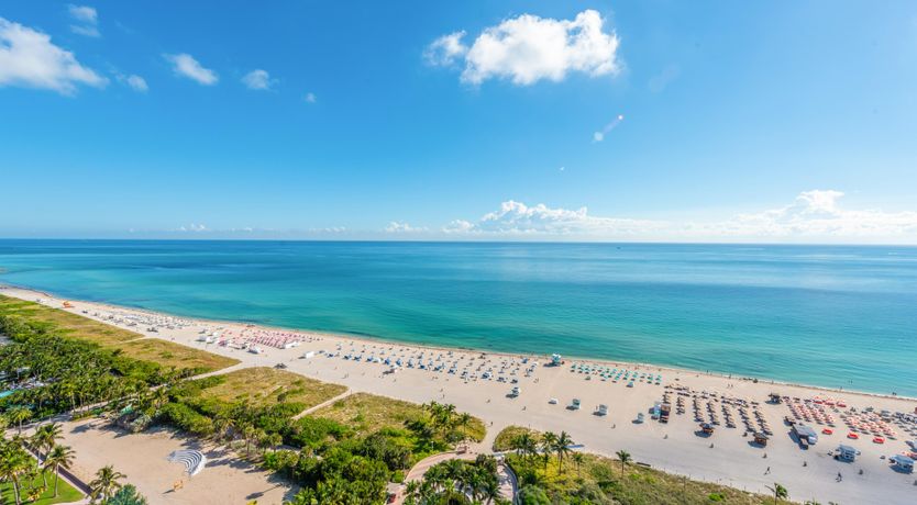 Photo of The Bright Light