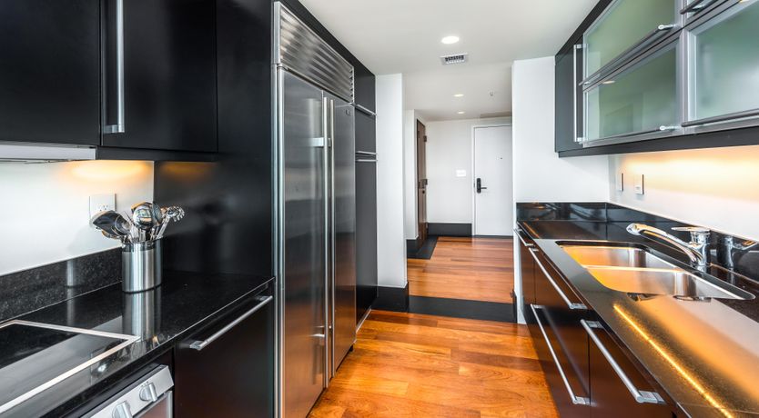 Photo of The Bright Light