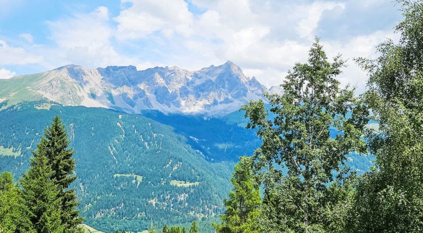 Photo of Rodas Soura 5