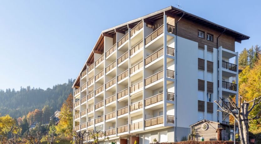 Photo of Belmont Est 80 Apartment 5