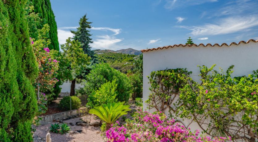 Photo of Villa Gran Vida