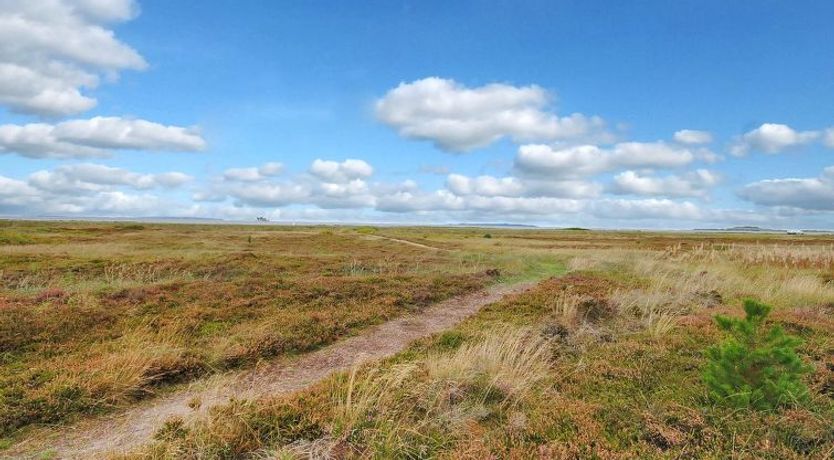 Photo of "Arisa" - 100m to the fjord