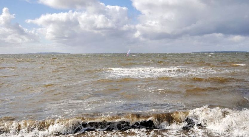 Photo of "Arisa" - 100m to the fjord