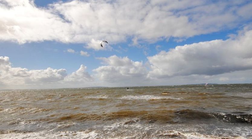 Photo of "Arisa" - 100m to the fjord