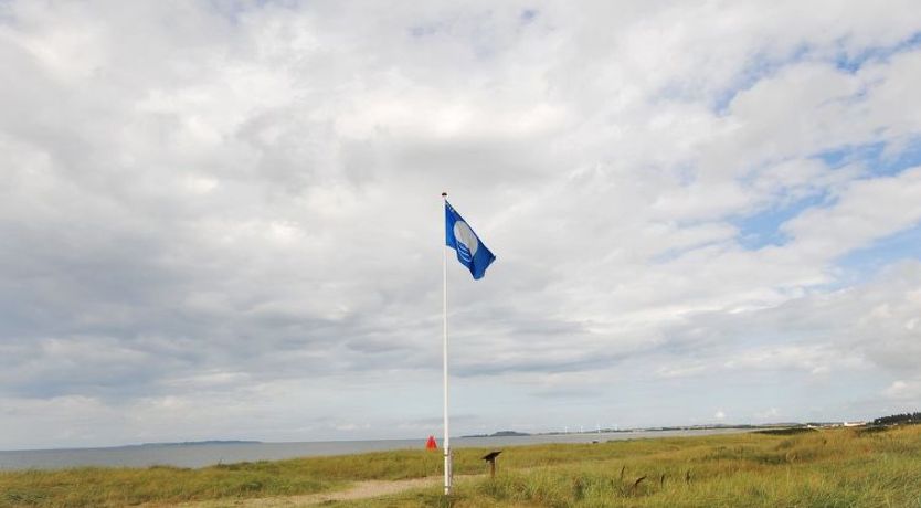 Photo of "Arisa" - 100m to the fjord