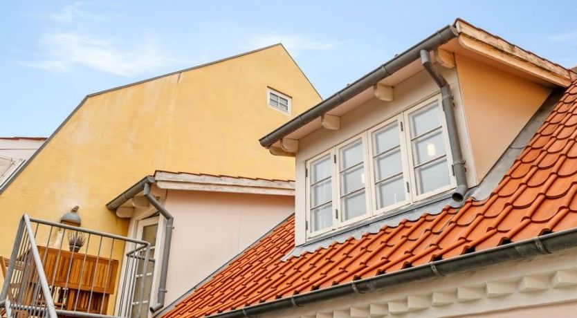 Photo of "Edel" - 250m from the sea