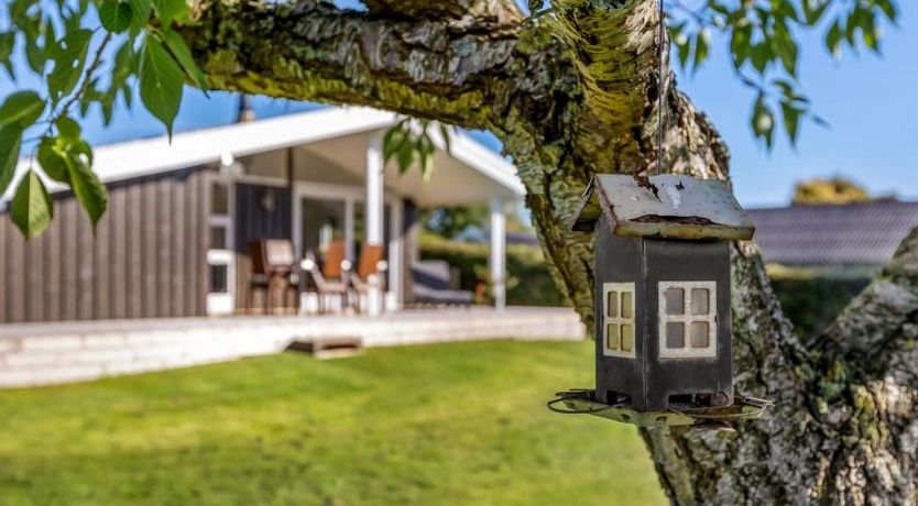 Photo of "Quanna" - 450m from the sea