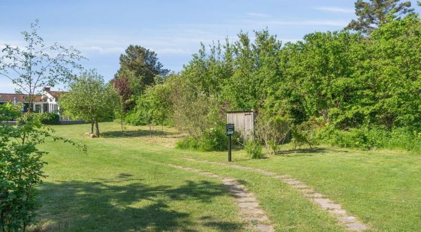 Photo of "Felis" - 75m from the sea