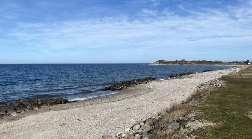 Photo of "Felis" - 75m from the sea