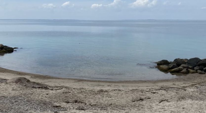 Photo of "Felis" - 75m from the sea