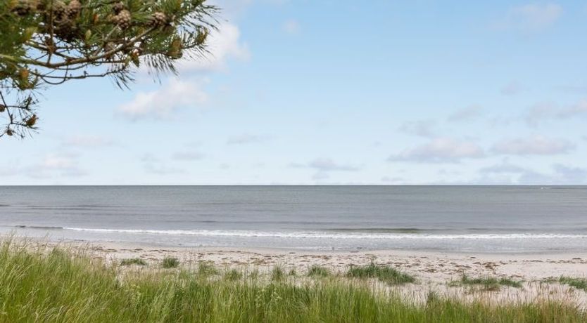 Photo of "Anemette" - 100m from the sea