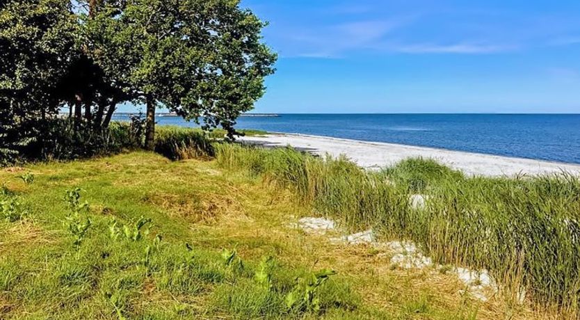 Photo of "Anemette" - 100m from the sea