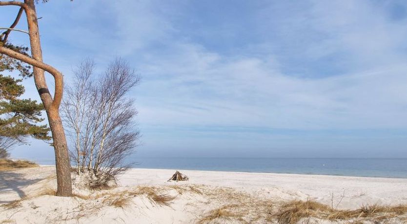 Photo of "Anemette" - 100m from the sea