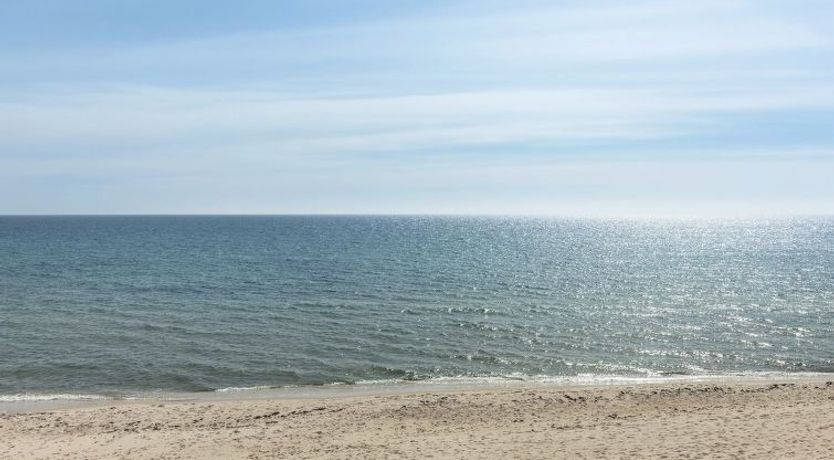 Photo of "Heikki" - 700m from the sea