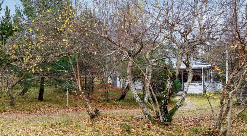 Photo of "Alessandra" - 175m from the sea