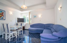 Photo of plavi