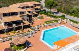 Photo of bouganville-4