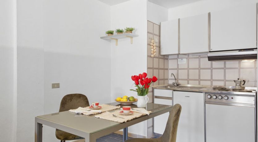 Photo of Bouganville